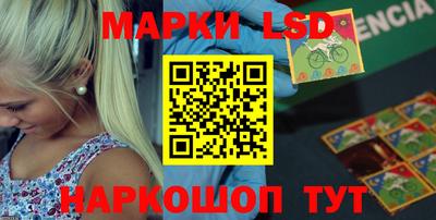 тгк Бердск