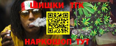 тгк Бердск