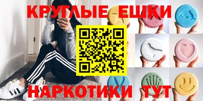 тгк Бердск