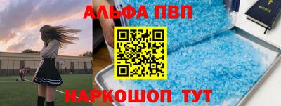 тгк Бердск