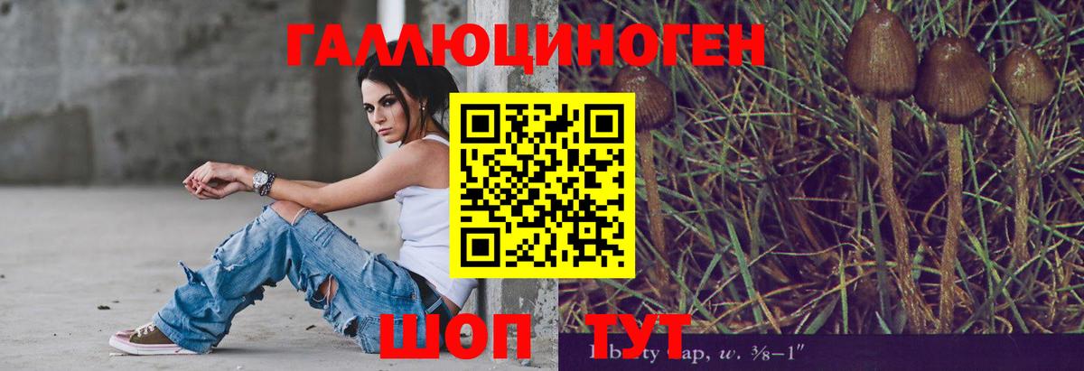 Галлюциногенные грибы прущие грибы  Вход с VPN  Волгодонск 