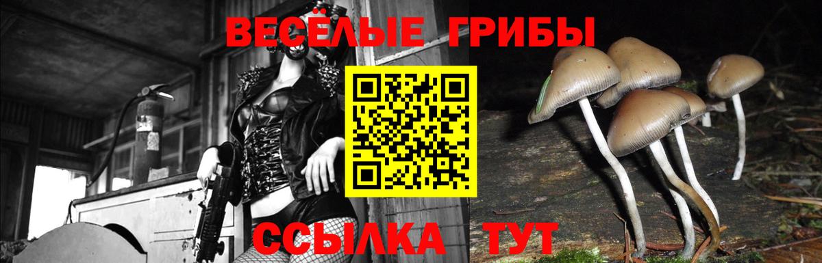 Псилоцибиновые грибы прущие грибы Волгодонск